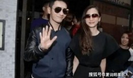 娱乐圈吃黄晓明瓜,娱乐圈风云再起，揭秘明星背后的故事