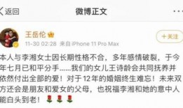 娱乐圈吃瓜报告