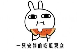 网络上吃瓜是什么意思,吃瓜群众的趣味解读